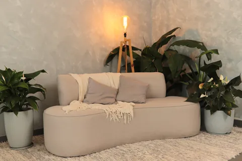 Sofá orgânico cinza com almofadas, luminária de tripé acesa e plantas diante da parede marmorizada