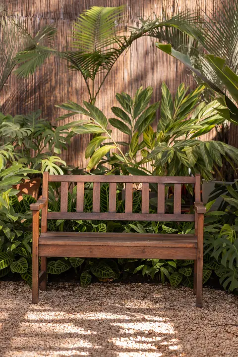Banco de madeira no jardim cercado por folhagens tropicais